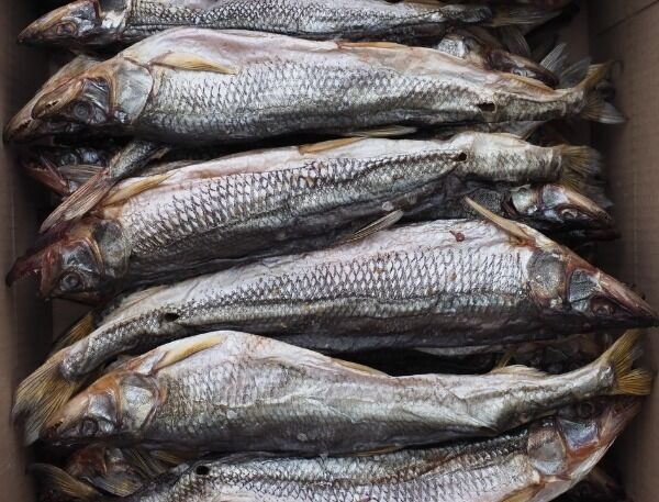 Корюшка вяленая с икрой Сахалин